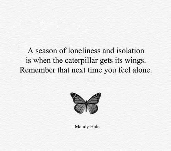 A season of loneliness is when the caterpillar gets its wings. Remember that the next time you feel alone.